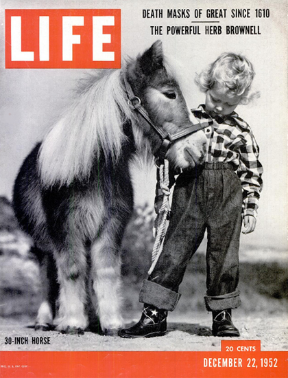 30-Inch Horse 22 Dec 1952 Copyright Life Magazine | Life Magazine BW Photo Covers 1936-1970