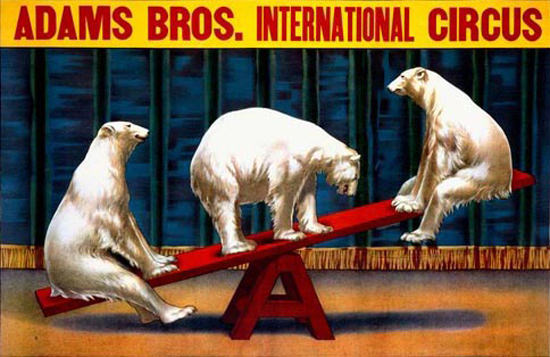 Adams Bros International Circus Ice Bears | Vintage Ad and Cover Art 1891-1970