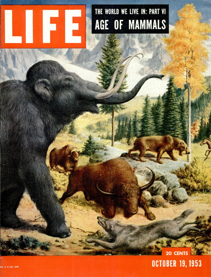 Age of Mammals 19 Oct 1953 Copyright Life Magazine | Life Magazine Color Photo Covers 1937-1970