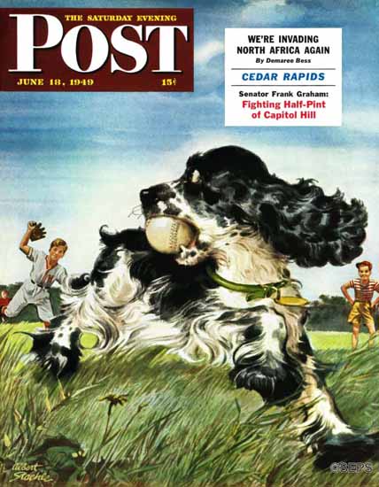 Albert Staehle Butch the Cocker Saturday Evening Post 1949_06_18 | The Saturday Evening Post Graphic Art Covers 1931-1969