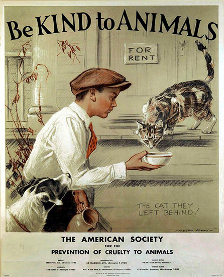 American Society Prevention Cruelty To Animals | Vintage Ad and Cover Art 1891-1970