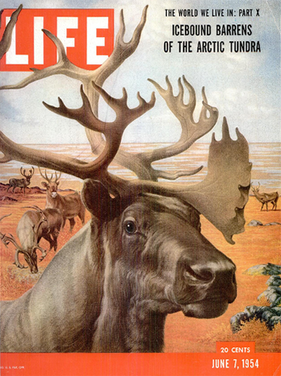 Arctic Tundra 7 Jun 1954 Copyright Life Magazine | Life Magazine Color Photo Covers 1937-1970