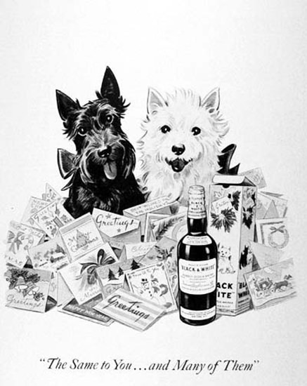 Black And White Scotch Whisky 1954 Terriers | Vintage Ad and Cover Art 1891-1970