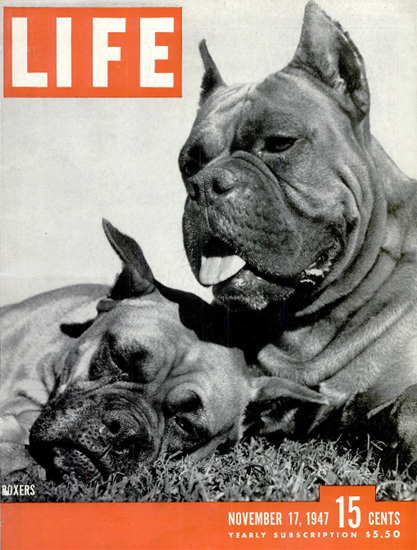 Boxers 17 Nov 1947 Copyright Life Magazine | Life Magazine BW Photo Covers 1936-1970