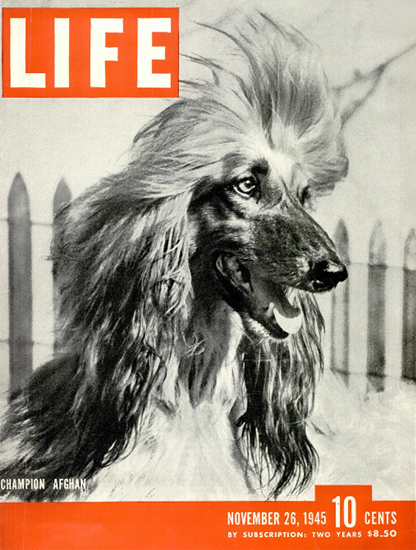 Champion Afghan 26 Nov 1945 Copyright Life Magazine | Life Magazine BW Photo Covers 1936-1970