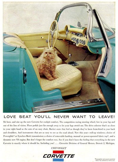 Chevrolet Corvette Cat Nerver Want To Leave | Vintage Cars 1891-1970