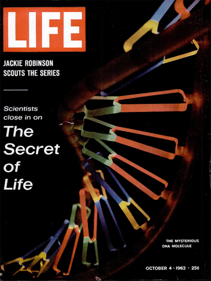 DNA Molecule Secret of Life Science 4 Oct 1963 Copyright Life Magazine | Life Magazine Color Photo Covers 1937-1970