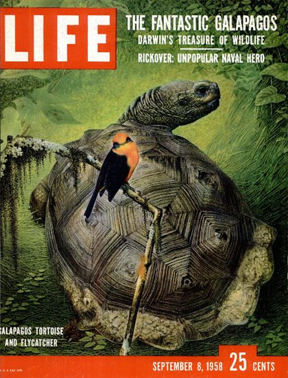 Darwin Galapagos Treasure Wildlife 8 Sep 1958 Copyright Life Magazine | Life Magazine Color Photo Covers 1937-1970