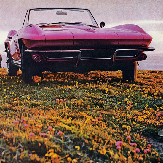 Detail Of Chevrolet Corvette Convertible 1965 Old Psyche | Best of 1960s Ad and Cover Art