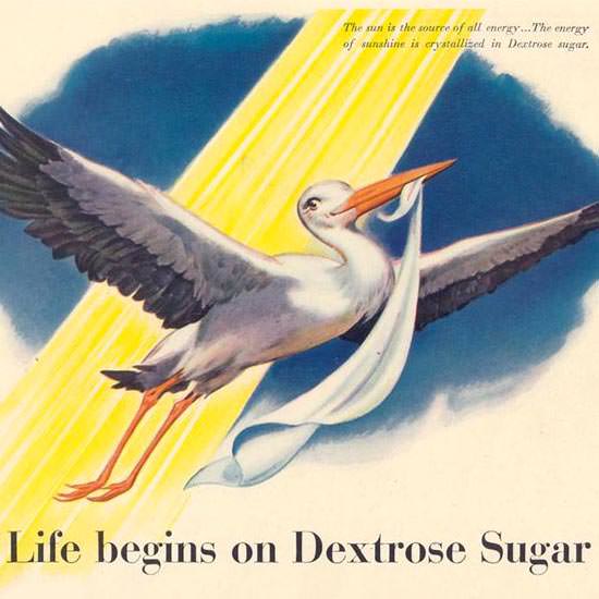 Detail Of Dextrose Sugar Stork 1942 | Best of Vintage Ad Art 1891-1970