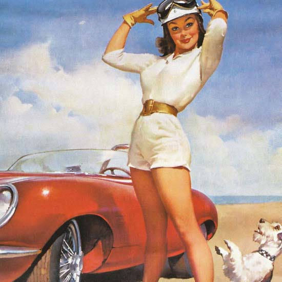 Detail Of Ditzler Automotive Finishes Girl Dog 1960s | Best of Vintage Ad Art 1891-1970