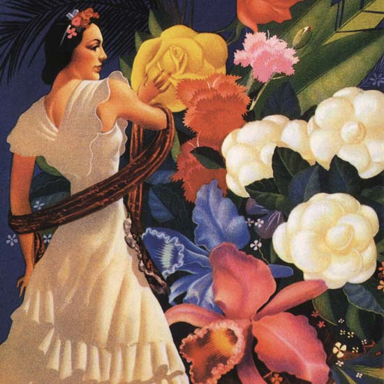 Detail Of Mexico Veracruz Flowers | Best of Vintage Ad Art 1891-1970