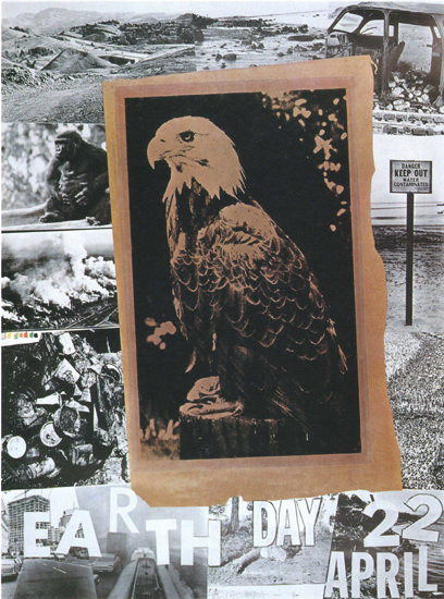 Earth Day 1970 April 22 Eagle Collage USA | Vintage Ad and Cover Art 1891-1970