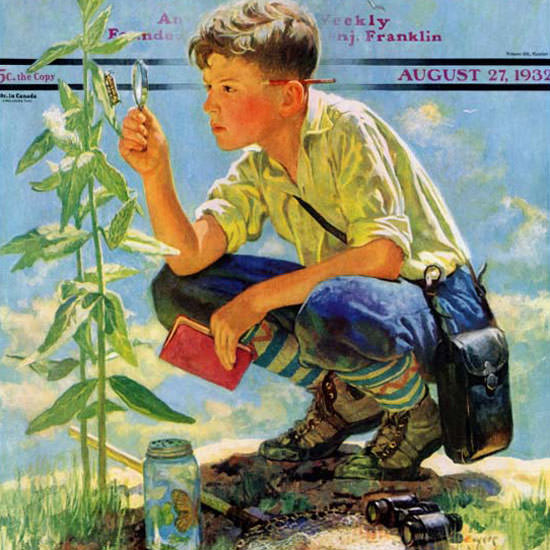 Eugene Iverd Saturday Evening Post Botanist 1932_08_27 Copyright crop | Best of Vintage Cover Art 1900-1970