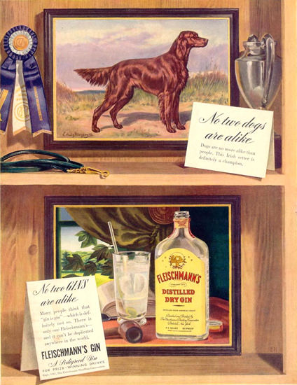 Fleischmanns Dry Gin Irish Setter 1941 | Vintage Ad and Cover Art 1891-1970