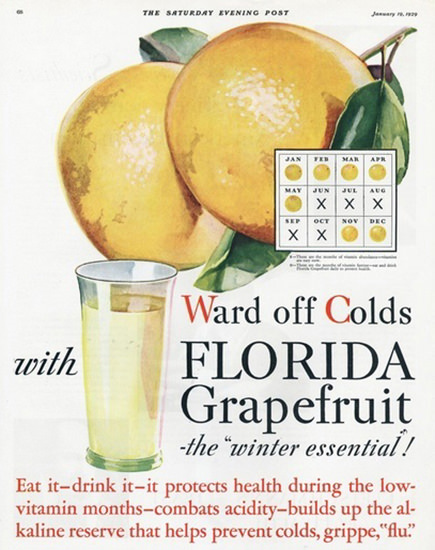 Florida Grapefruit Ward Of Colds 1929 | Vintage Ad and Cover Art 1891-1970