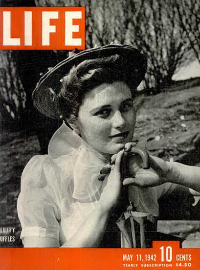 Fluffy Ruffles 11 May 1942 Copyright Life Magazine | Life Magazine BW Photo Covers 1936-1970