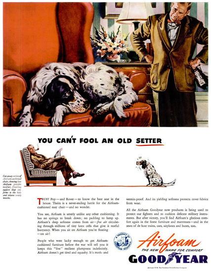 GoodYear You Cant Fool And Old Setter 1944 | Vintage Ad and Cover Art 1891-1970