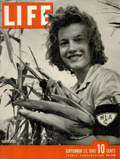 Harvester 27 Sep 1943 Copyright Life Magazine | Life Magazine BW Photo Covers 1936-1970