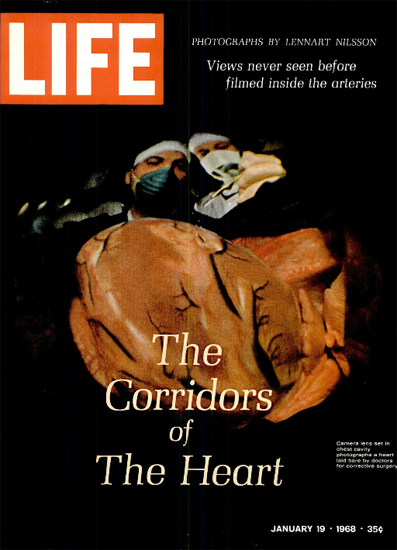 Heart filmed inside the Arteries 19 Jan 1968 Copyright Life Magazine | Life Magazine Color Photo Covers 1937-1970