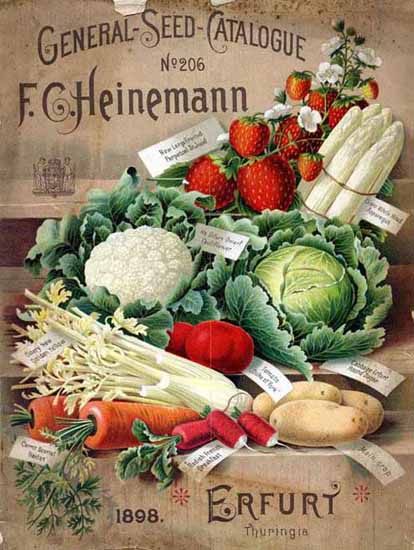 Heinemann General-Seed Ad Erfurt 1898 | Vintage Ad and Cover Art 1891-1970