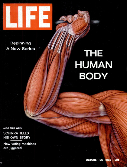 Human Body Musculature 26 Oct 1962 Copyright Life Magazine | Life Magazine Color Photo Covers 1937-1970