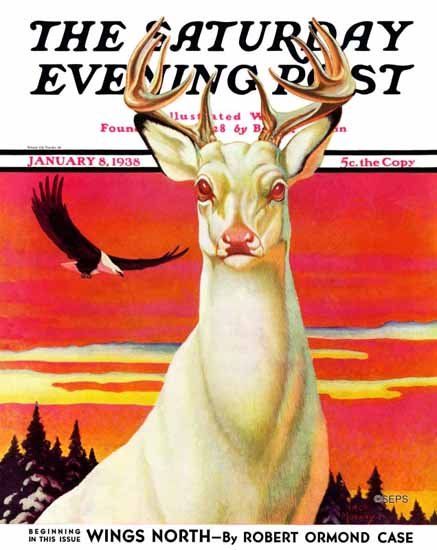 Jack Murray Saturday Evening Post Albino Deer 1938_01_08 | The Saturday Evening Post Graphic Art Covers 1931-1969