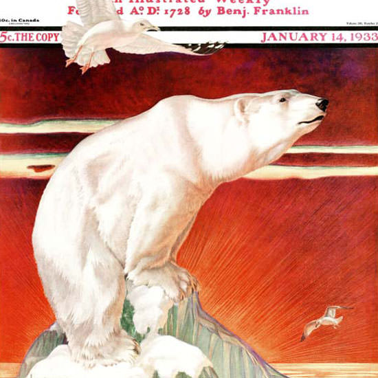 Jack Murray Saturday Evening Post Polar Bear 1933_01_14 Copyright crop | Best of 1930s Ad and Cover Art