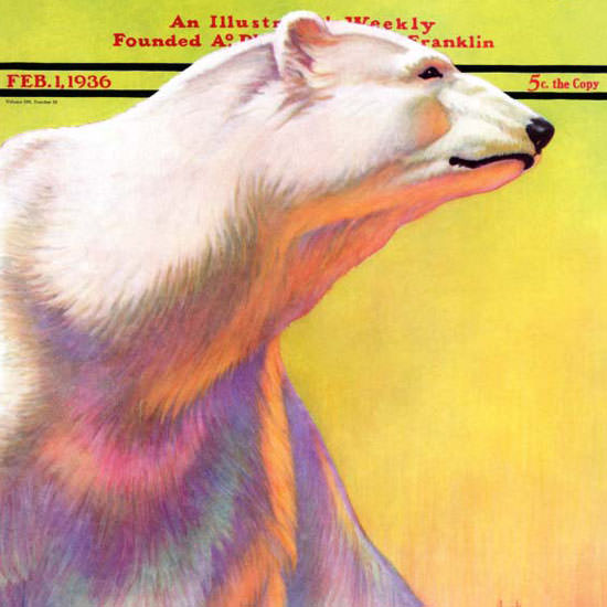 Jack Murray Saturday Evening Post Polar Bear 1936_02_01 Copyright crop | Best of 1930s Ad and Cover Art