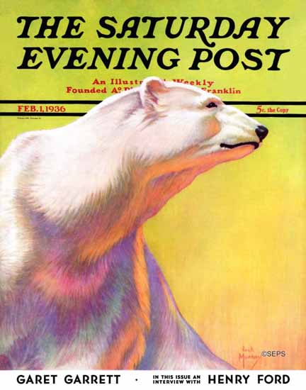 Jack Murray Saturday Evening Post Polar Bear 1936_02_01 | The Saturday Evening Post Graphic Art Covers 1931-1969