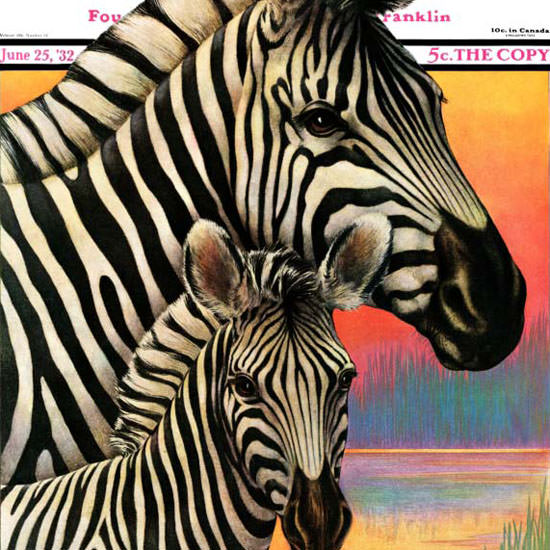 Jack Murray Saturday Evening Post Zebras 1932_06_25 Copyright crop | Best of 1930s Ad and Cover Art