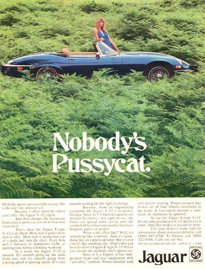 Jaguar E-Type V-12 Nobodys Pussycat | Vintage Cars 1891-1970