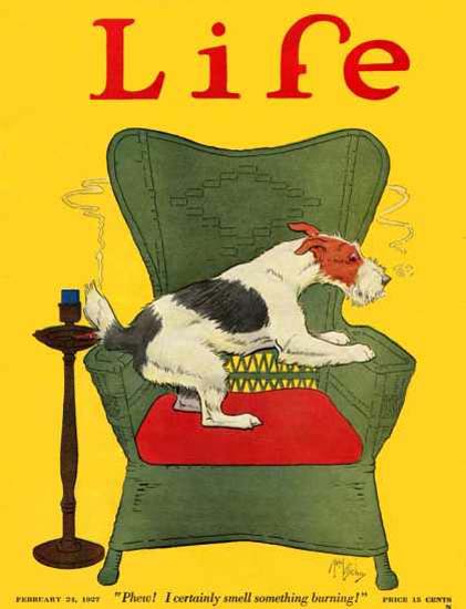 Life Magazine Copyright 1927 I Smell Something Burning | Vintage Ad and Cover Art 1891-1970