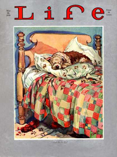 Life Magazine Copyright 1930 Little Dog Sleeping On Bed | Vintage Ad and Cover Art 1891-1970