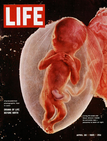 Life Magazine Copyright 1965 Drama Of Life Before Birth | Vintage Ad and Cover Art 1891-1970