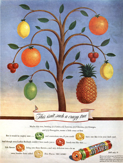 Life Savers Candy Crazy Tree | Mad Men Art | Vintage Ad Art Collection