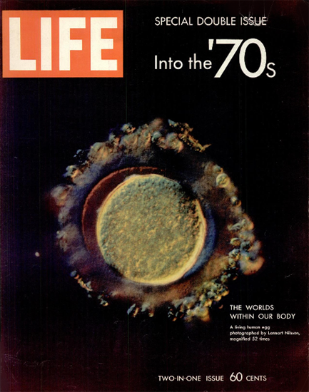 Living Human Egg by Lennart Nilsson 9 Jan 1970 Copyright Life Magazine | Life Magazine Color Photo Covers 1937-1970