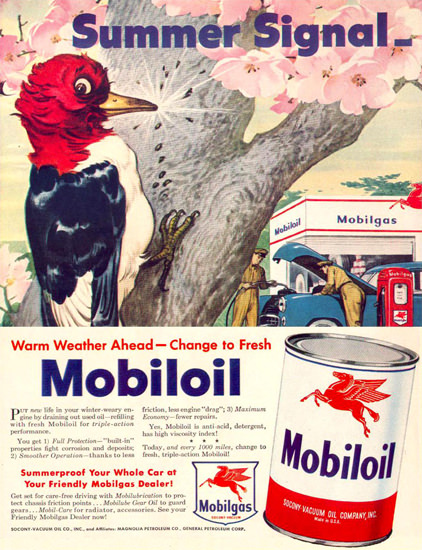 Mobiloil Summer Signal Woodpecker 1950 | Vintage Ad and Cover Art 1891-1970