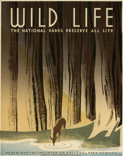 National Park Service Preserve Wild Life 1940 by Frank S Nicholson | Vintage Ad and Cover Art 1891-1970