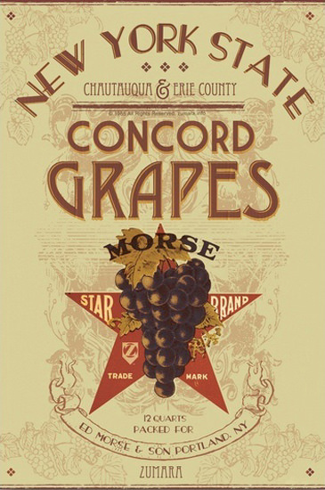 New York State Concord Grapes Morse Portland | Vintage Ad and Cover Art 1891-1970