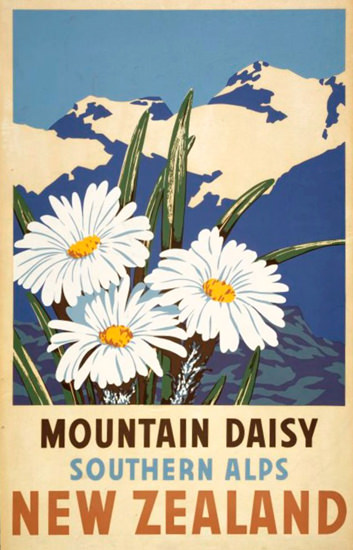 New Zealand Mountain Daisy Alps 1930s | Vintage Travel Posters 1891-1970