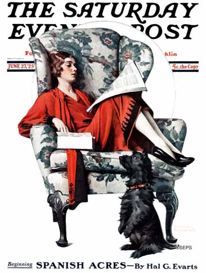 Norman Rockwell Cover Artist Saturday Evening Post 1925_06_27 | 400 Norman Rockwell Magazine Covers 1913-1963