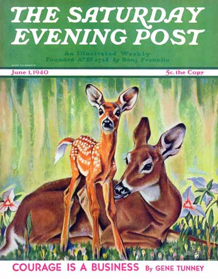 Paul Bransom Saturday Evening Post Doe and Fawn 1940_06_01 | The Saturday Evening Post Graphic Art Covers 1931-1969