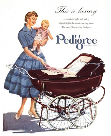 Pedigree Baby Carriage This Is Luxery | Vintage Ad and Cover Art 1891-1970