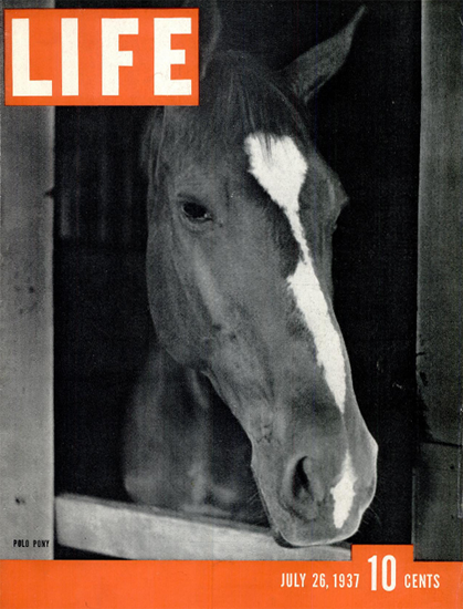 Polo Pony 26 Jul 1937 Copyright Life Magazine | Life Magazine BW Photo Covers 1936-1970