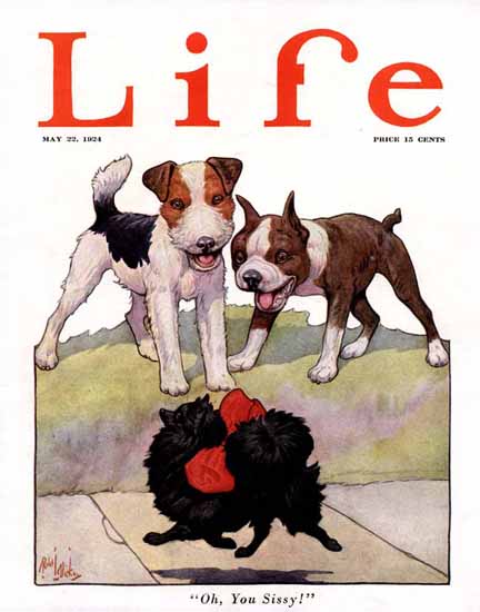 Roaring 1920s Robert L Dickey Life Magazine 1924-05-22 Copyright | Roaring 1920s Ad Art and Magazine Cover Art