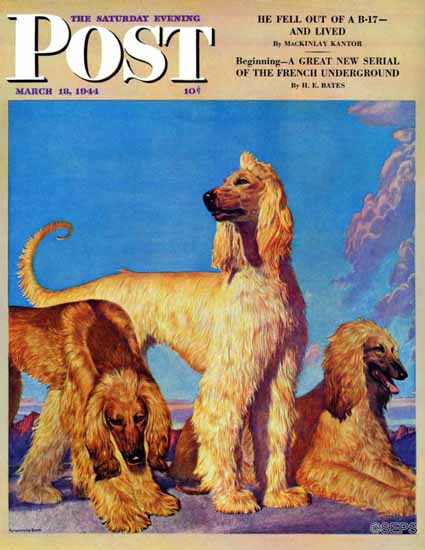 Rutherford Boyd Saturday Evening Post Afghan Hounds 1944_03_18 | The Saturday Evening Post Graphic Art Covers 1931-1969