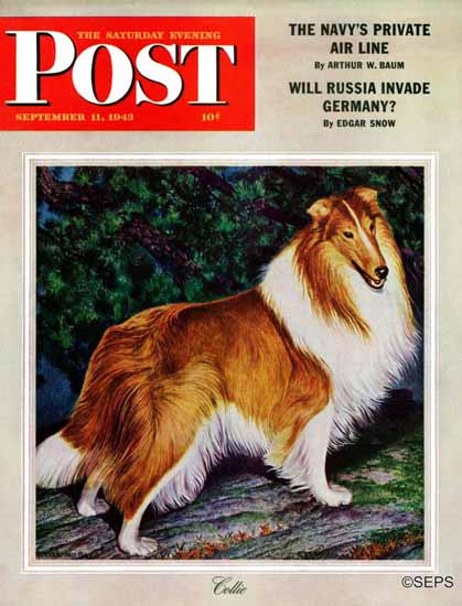 Rutherford Boyd Saturday Evening Post Collie 1943_09_11 | The Saturday Evening Post Graphic Art Covers 1931-1969