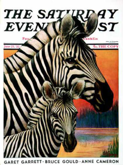 Saturday Evening Post Copyright 1932 Zebras Jack Murray | Vintage Ad and Cover Art 1891-1970