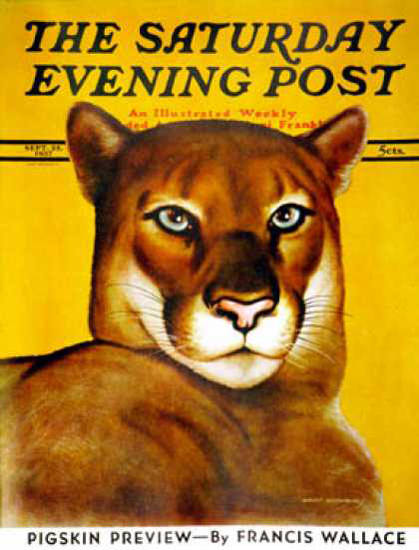 Saturday Evening Post Copyright 1937 Mountain Lion | Vintage Ad and Cover Art 1891-1970